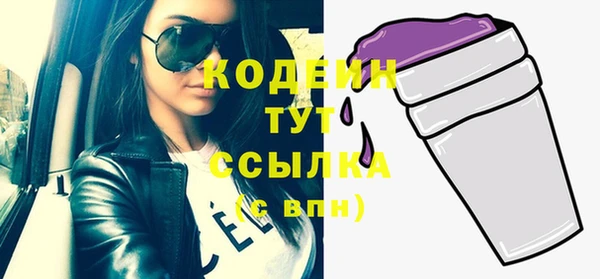 mix Богородицк