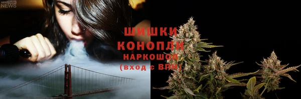 mix Богородицк