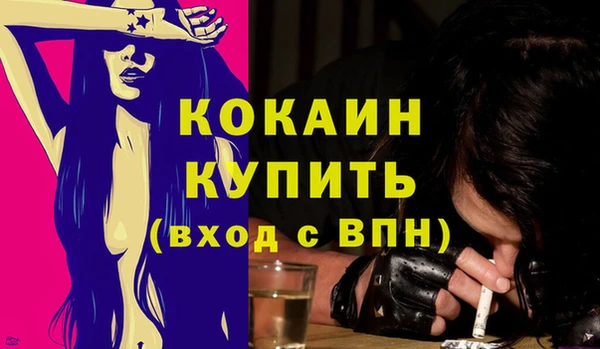 mix Богородицк