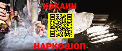 крисы Кулебаки