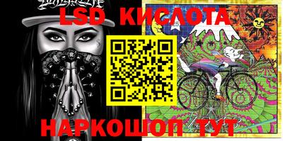 крисы Кулебаки