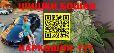 крисы Кулебаки