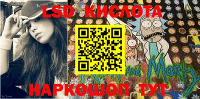 крисы Кулебаки