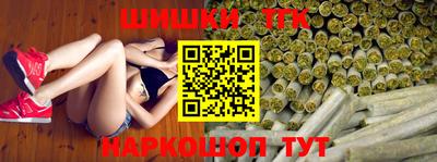 крисы Кулебаки