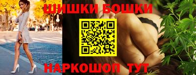 крисы Кулебаки