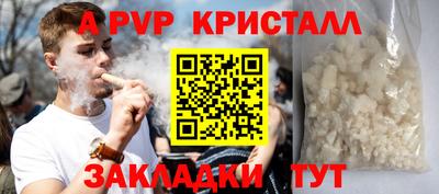 крисы Кулебаки