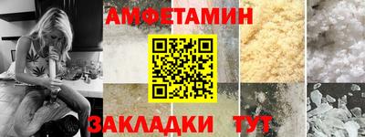 крисы Кулебаки