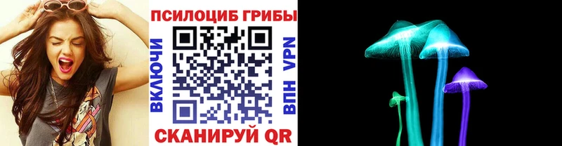 закладки  Гатчина  Псилоцибиновые грибы мицелий 