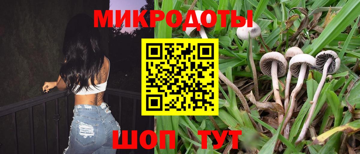 Галлюциногенные грибы Magic Shrooms  Псилоцибиновые грибы прущие грибы  Вход с VPN  Гатчина 