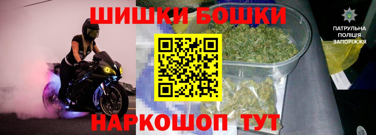 Гатчина  Канабис планчик  Вход с VPN  Каннабис планчик  Шишки марихуана план 