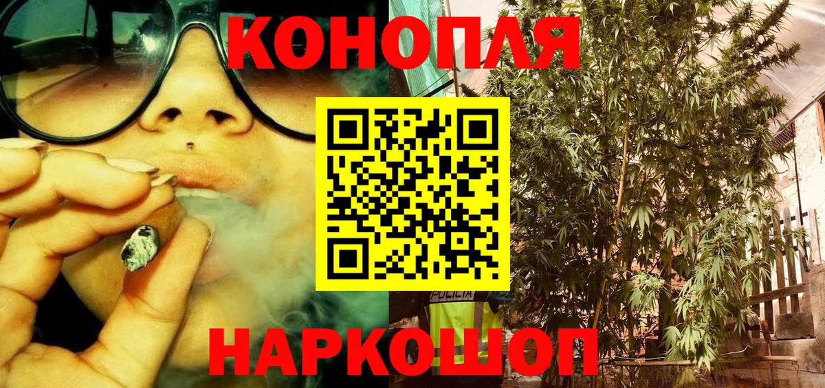 Конопля гибрид Гатчина